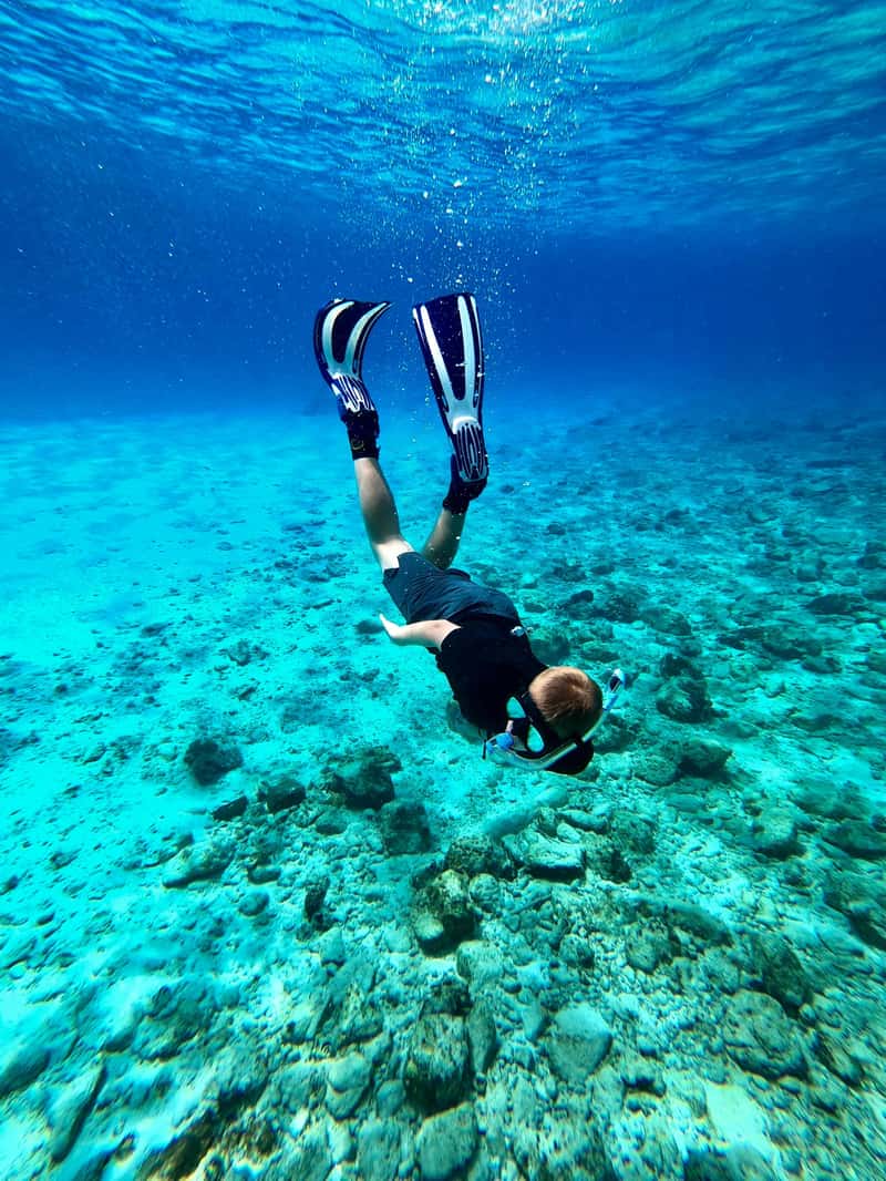 Poreč: Private Morning Snorkeling Boat Tour with Skipper