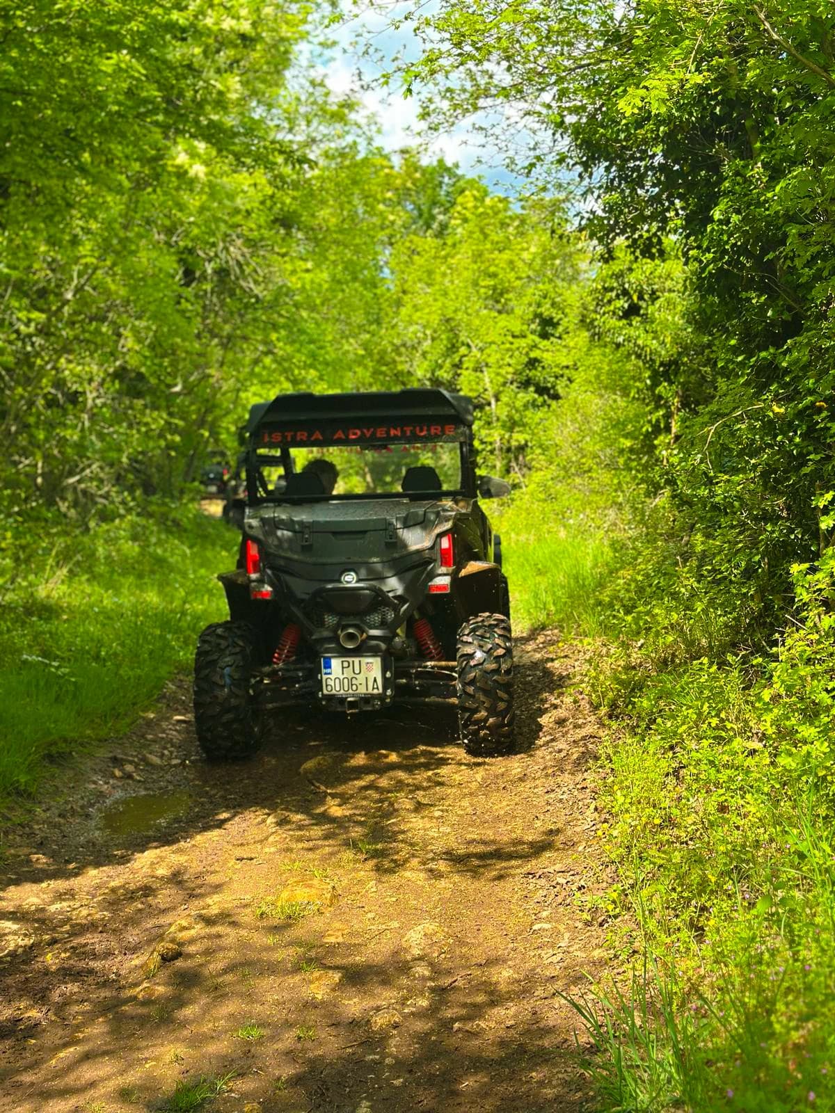 Barban; BUGGY safari