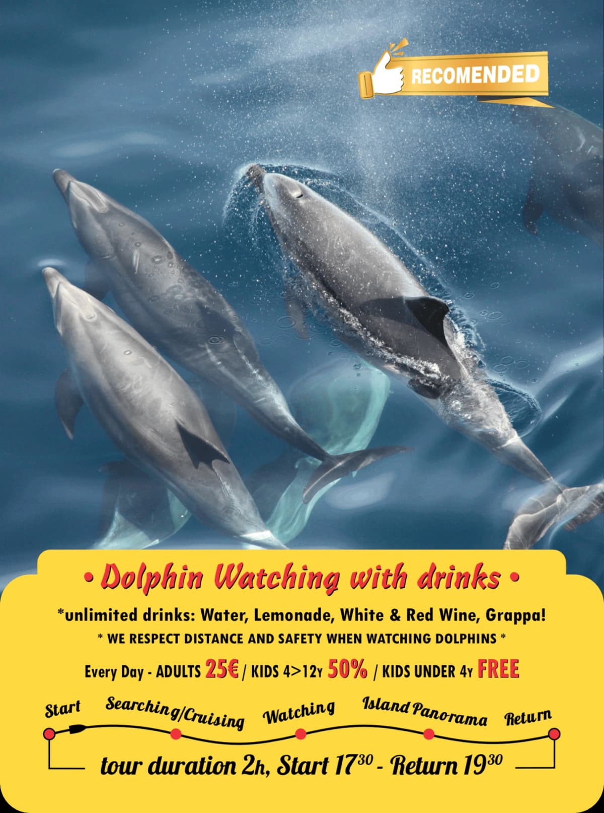 Dolphin Watching with drinks