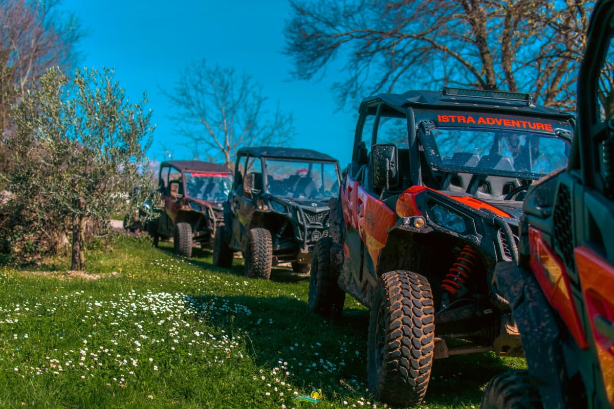 Barban; BUGGY Family tour