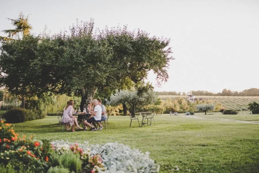 Guided Walk, Food, Olive Oil & Wine - full experience