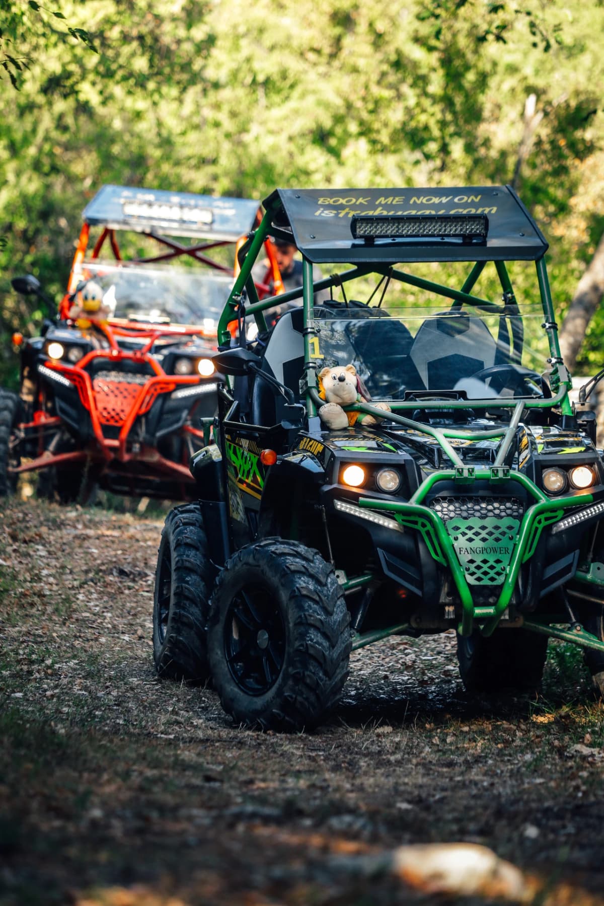 Fažana: 2H Guided Buggy Tour in the Heart of Istria