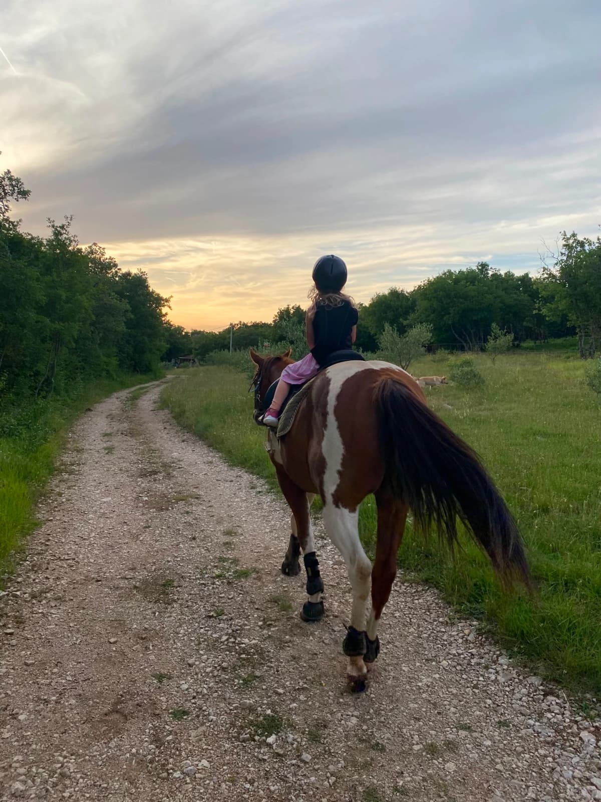 Short Forest Adventure - Guided Forest Ride, Ranch Marconi