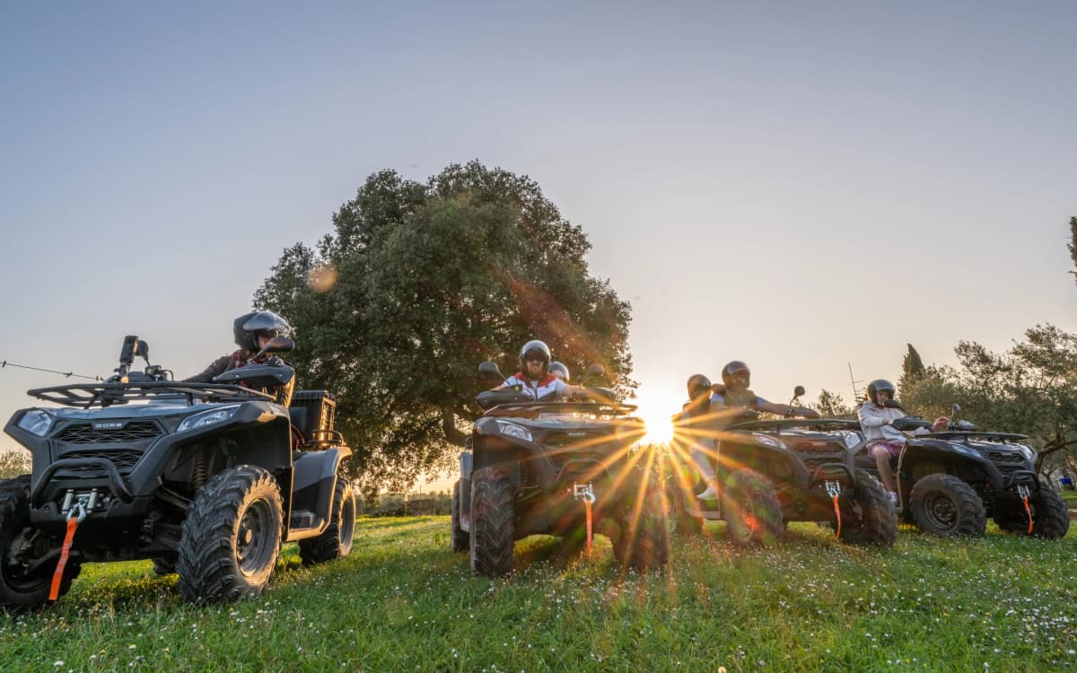 Vodnjan: 360 Adventure Quad Tour with Olive Oil Tasting