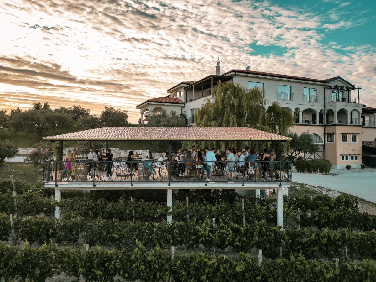 Taste Istria: Wine, Olive Oil & Truffle Tasting at Cattunar - Brtonigla, Croatia