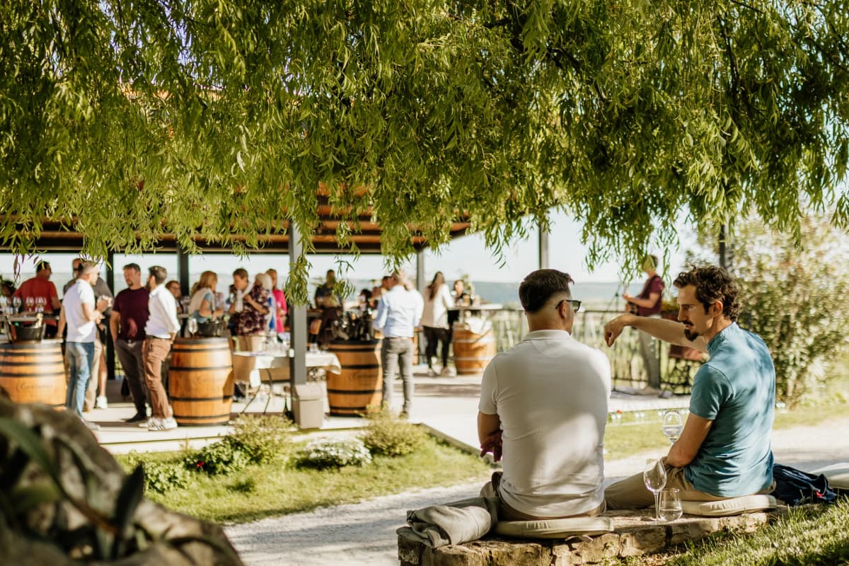 Discover Istria`s 4 Soils: Malvazija Wine Tasting at Cattunar - Brtonigla, Croatia